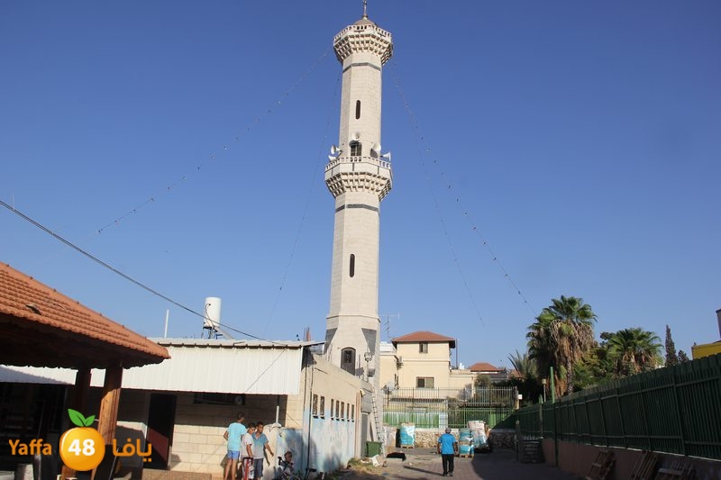 sha7ena ludi31 (3).JPG